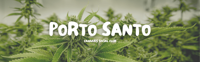 porto santo csc 1600x500 768x240